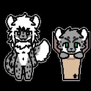 The Snow Leopards