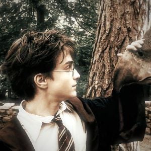 Harry Potter⚡