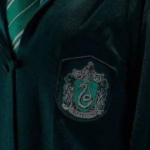 The Slytherin boys