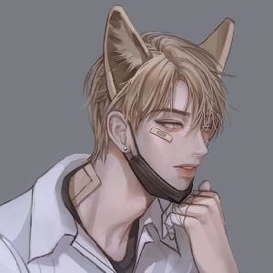 Wound