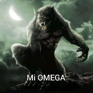 lobo solitario