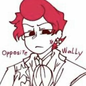 🎨opposite wally💢