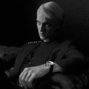 Professor Draco Malfoy