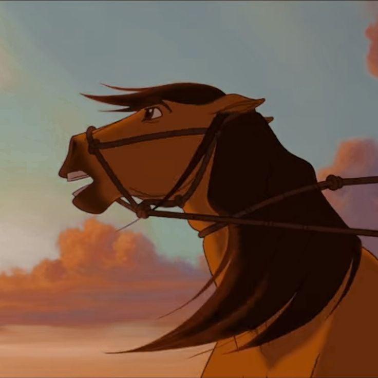 caballo salvaje