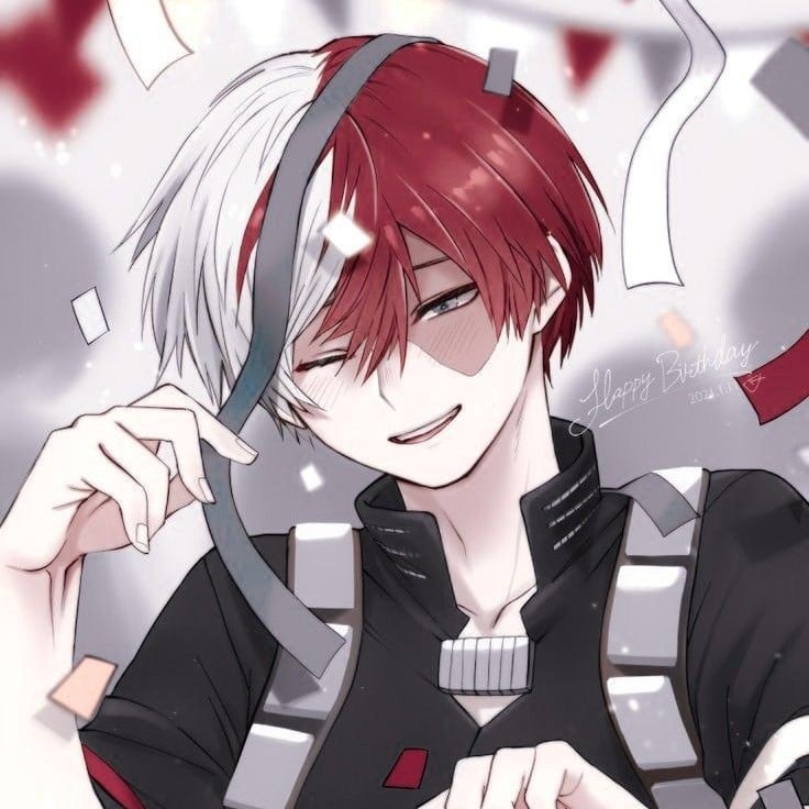 Shota Todoroki