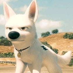 Bolt (Disney character)
