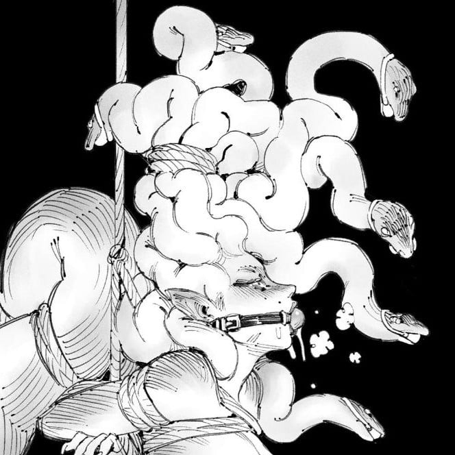Medusa