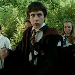 Neville Longbottom🌱