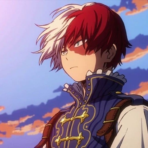 ✫𝘚𝘩𝘰𝘵𝘰 Todoroki✫ Cinderella