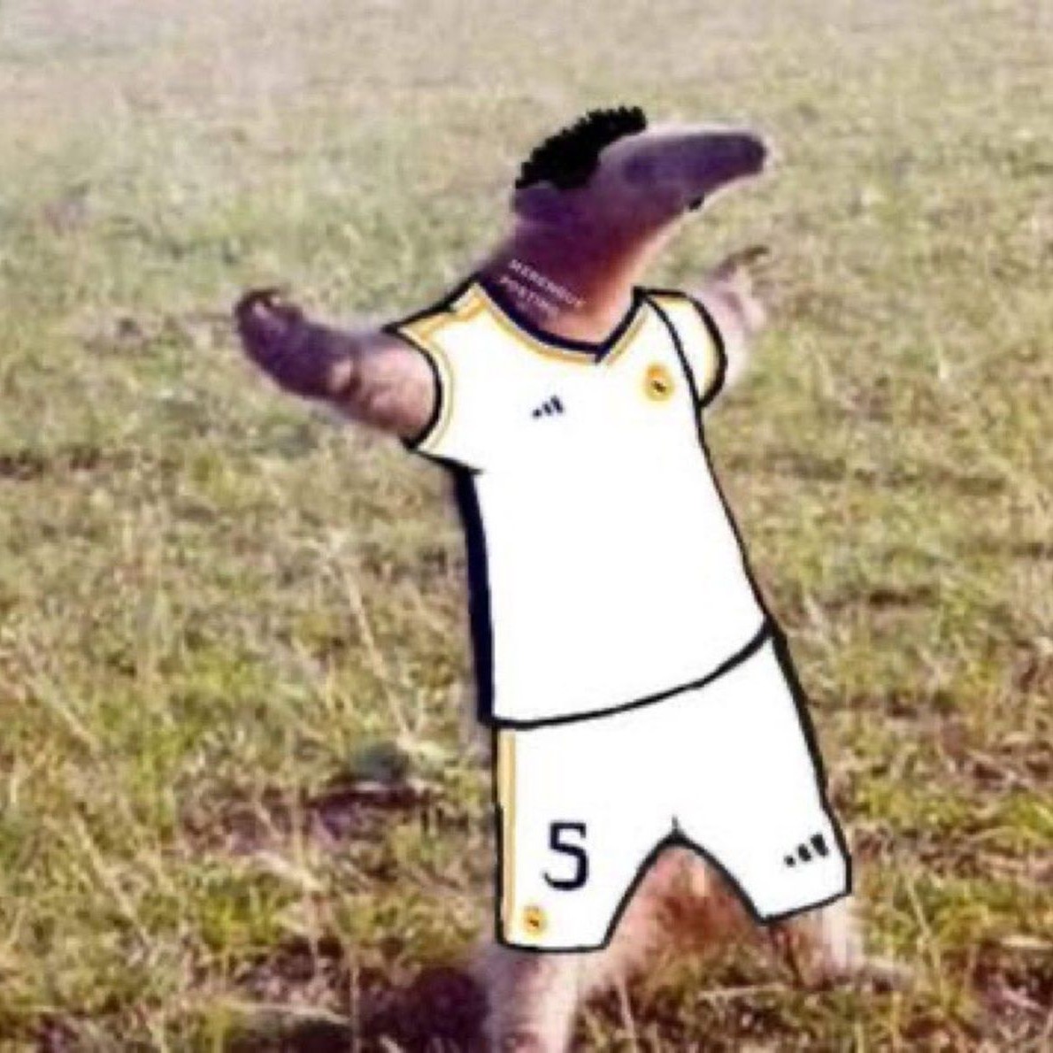 belligol