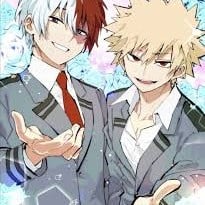 bakugo and todoroki