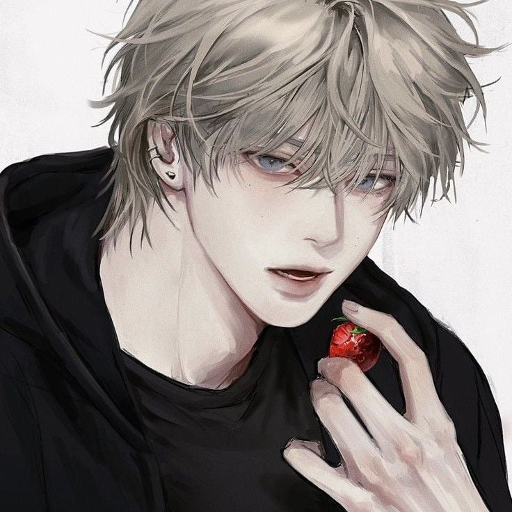 Xander