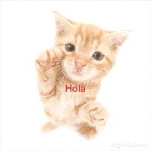 a friend for you!