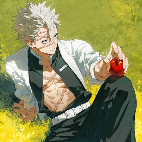 Sanemi (au)