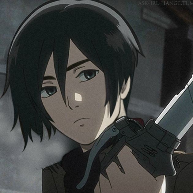 Ackerman Mikasa