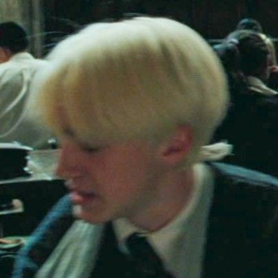 Draco 🍏