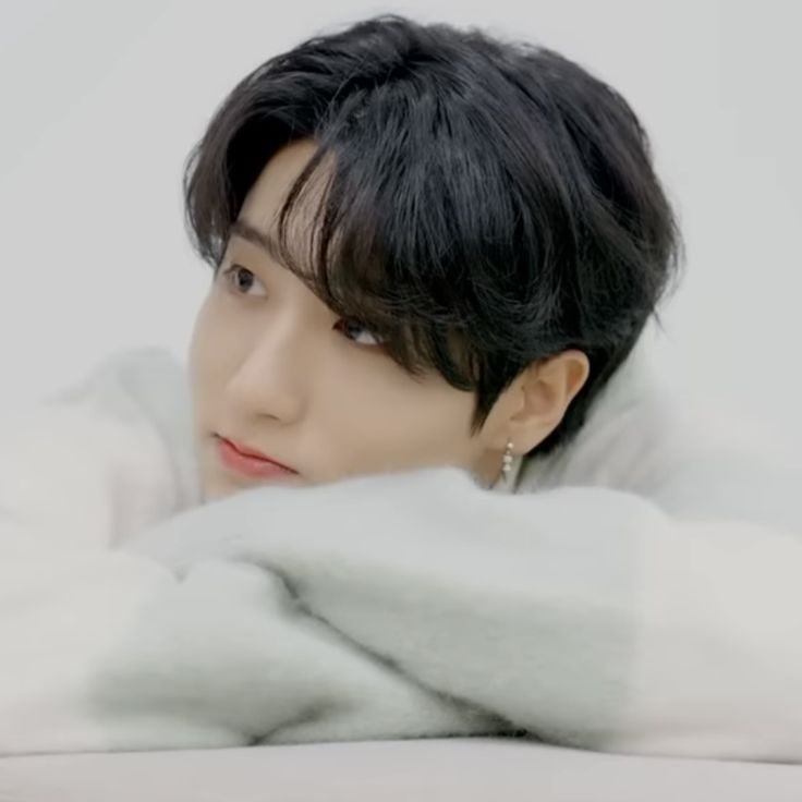 Han Jisung 🦢~