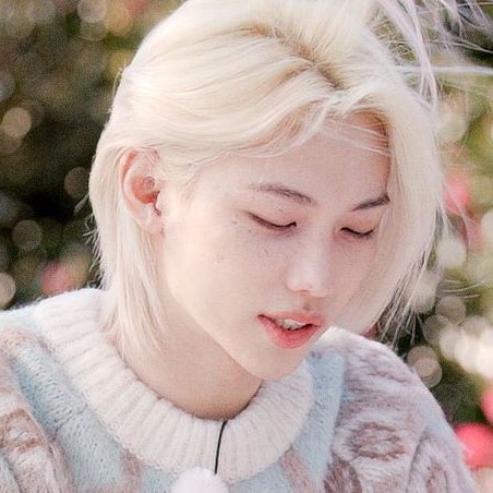 Felix/ᐠ. .ᐟ\