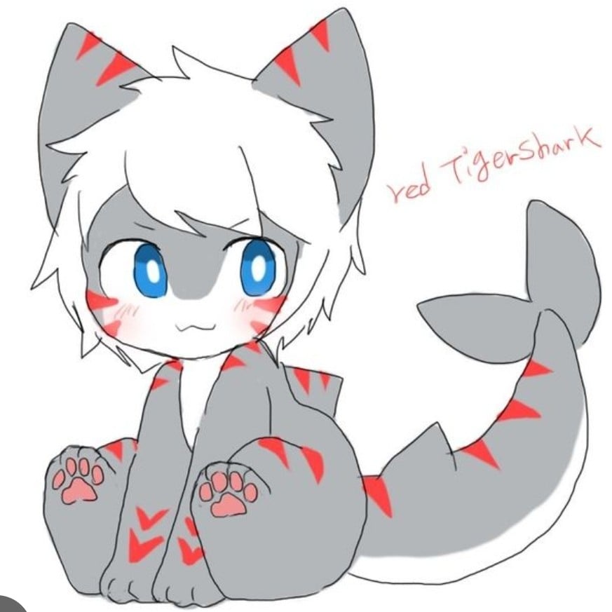 🔴red tigershark🔴 (changed)