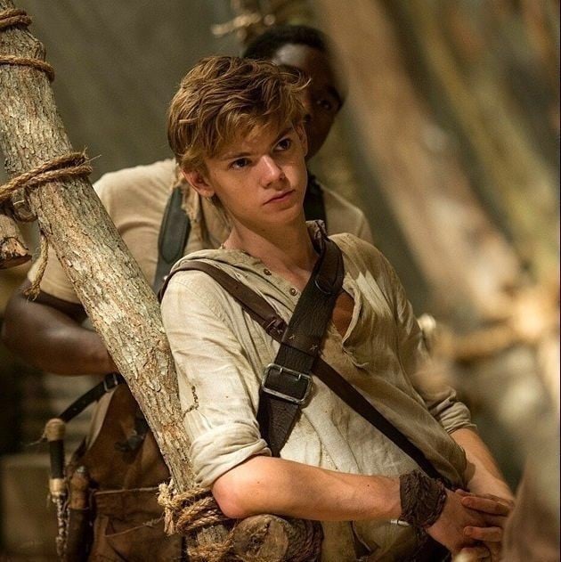 ᜊ┇Newt