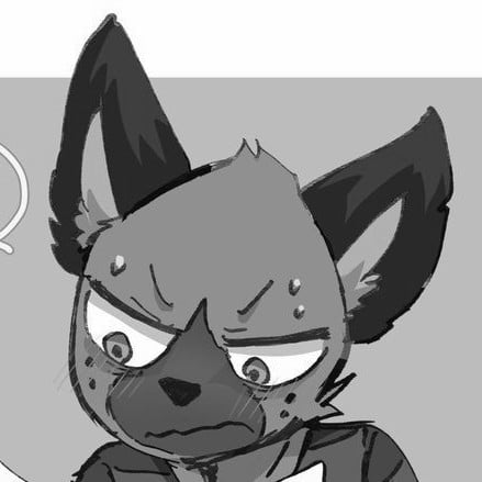 [📝]Haida