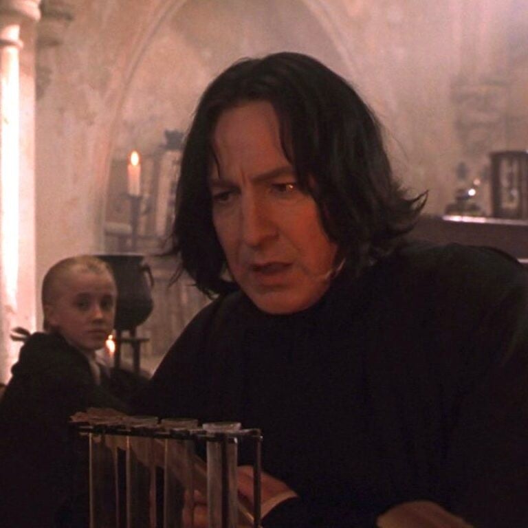Professor Severus Snape (9)
