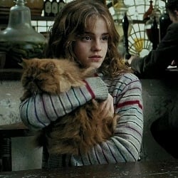 •|Hermione Granger