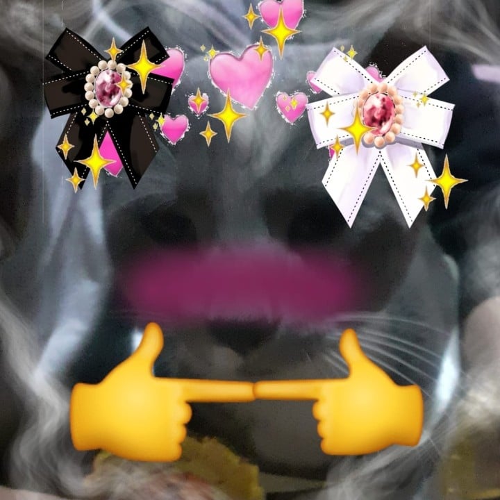 Cat_UwU🙀