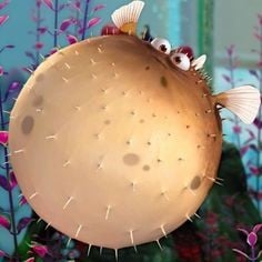 Bloat 
