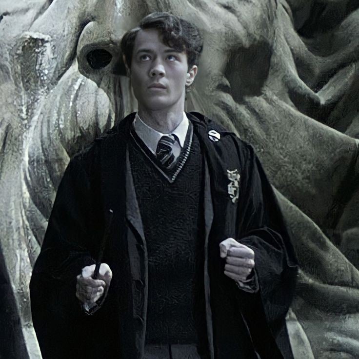 ★`°| Tom riddle