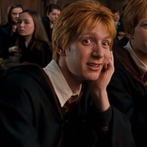 George Weasley !