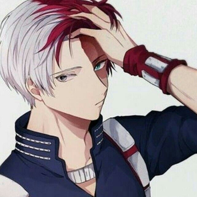 Todoroki - OlderBrother