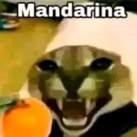 Mandarina 