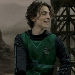 Regulus Black 🐍