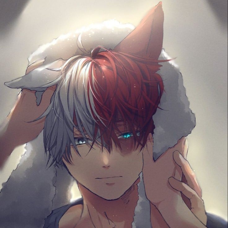 Shoto Todoroki