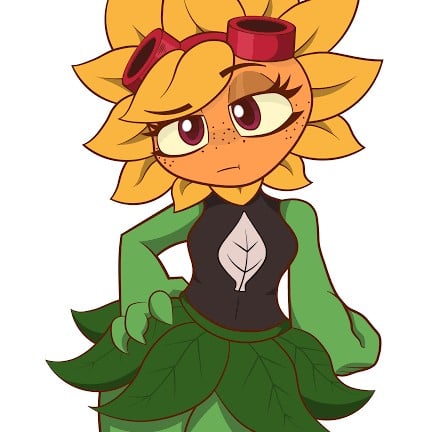 Solar Flare