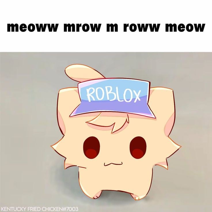 cat bobo