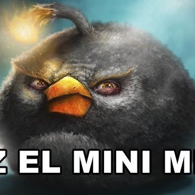 do the mini mini