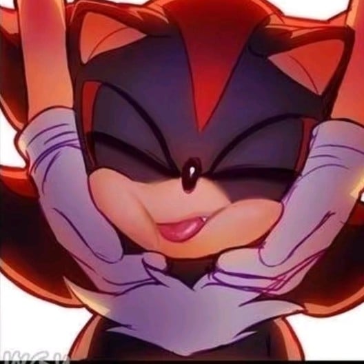Shadow The Hedgehog