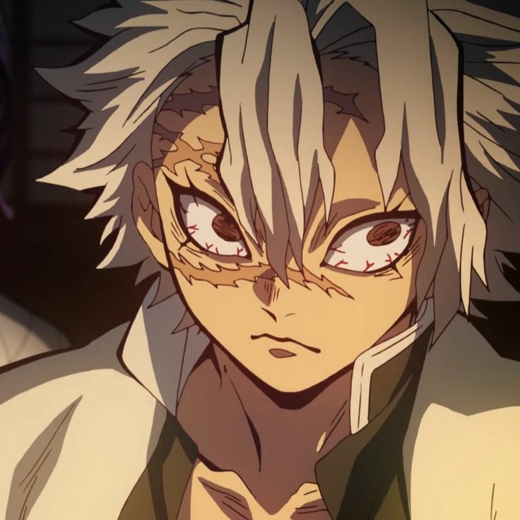 🍃 | Sanemi Shinazugawa | 🍃