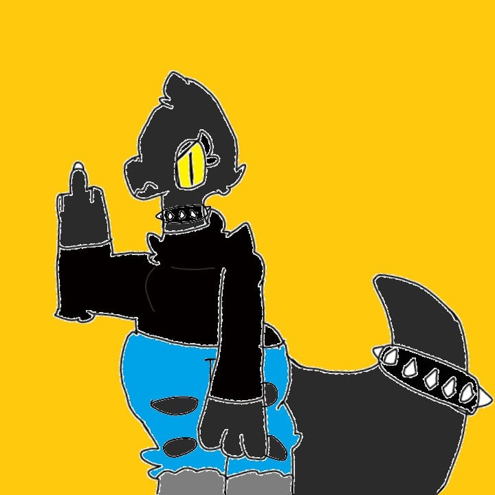 stella