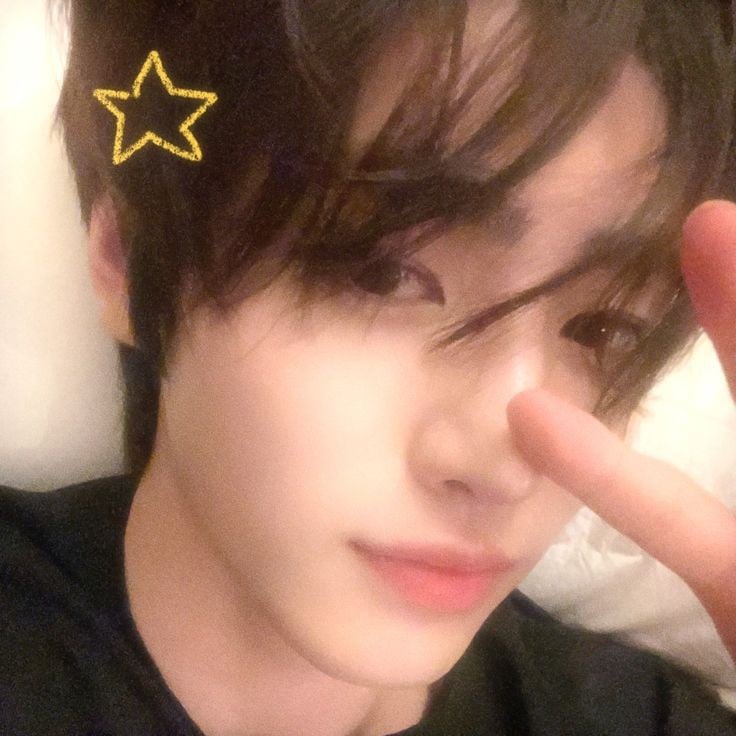 ☆. .𝘱𝘢𝘳𝘬 𝘴𝘶𝘯𝘨𝘩𝘰𝘰𝘯