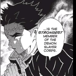 Gyomei Himejima ☄️