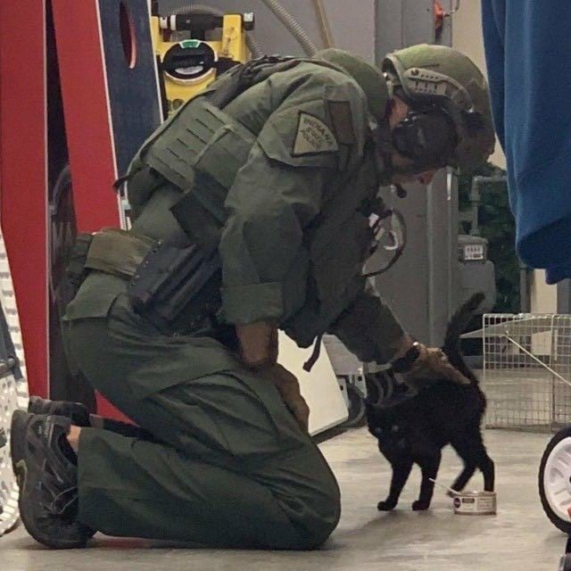 military. .