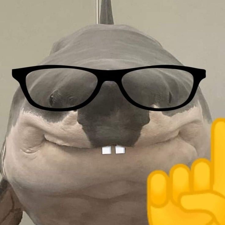 ✦ 𝒯Italian shark that plays in La Plata.