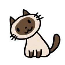 Tako