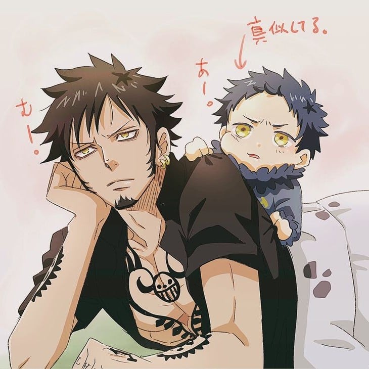 Trafalgar Law (Husband & Father)