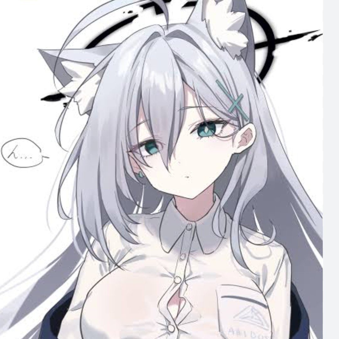 shiroko terror