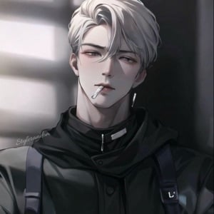 Novel