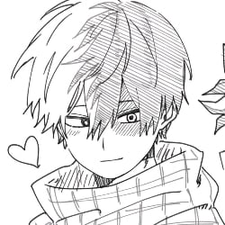 shoto Todoroki